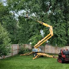 Best Commercial Tree Services  in Bishopville, SC