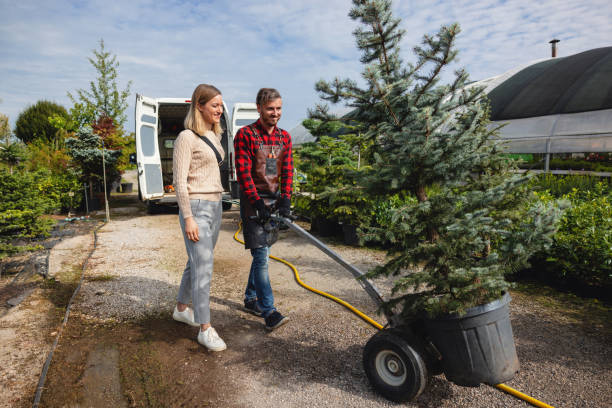 Reliable Bishopville, SC Tree Services Solutions